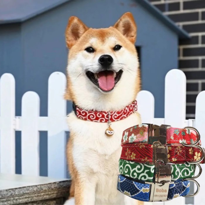 Personalized Japanese Style Stainless Steel Pet Name Collar / Customized Pet Tag Collar With ... Personalized Japanese Style Stainless Steel Pet Name Collar / Customized Pet Tag Collar With ...